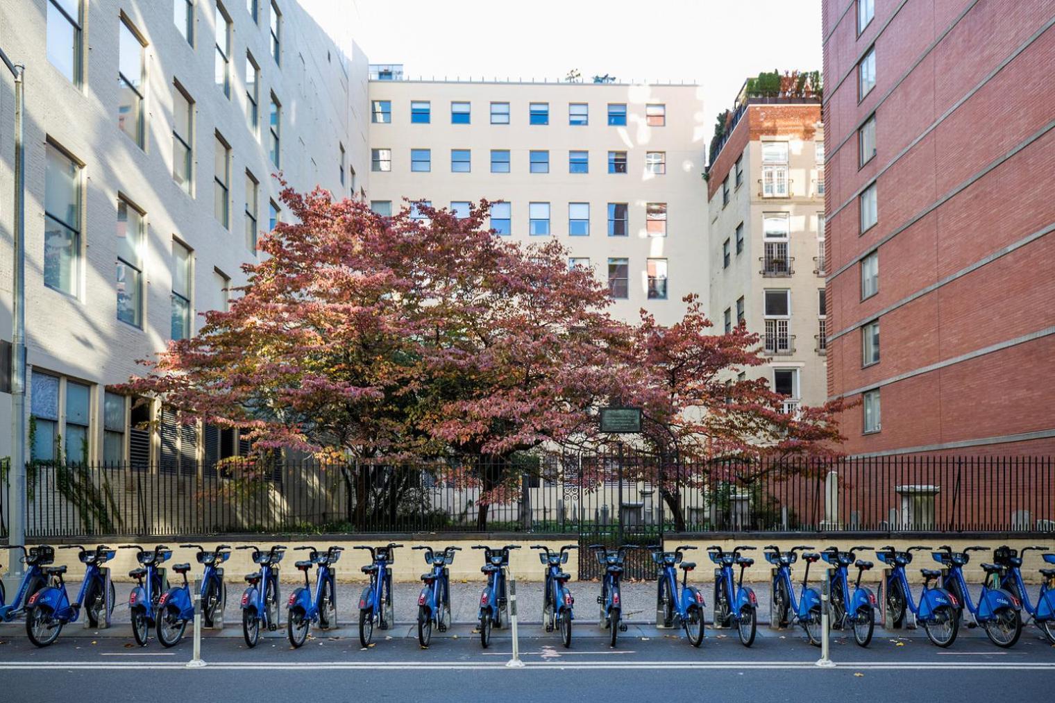 Appartamento Blueground Chelsea Rooftop Wd Nr High Line Nyc-1636